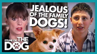 These Teens Feel LESS LOVED than their Family Pets | It's Me or The Dog