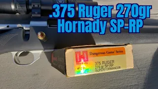 .375 Ruger Hornady Dangerous Game 270gr RN-SP Superformance