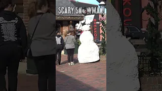 Encanto Invernal: Snowman y Su Reinado de Diversión