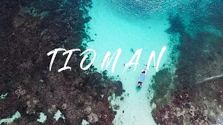 【4K】Drone Footage | Tioman Island |  Malaysia 2022  |  Cinematic Aerial