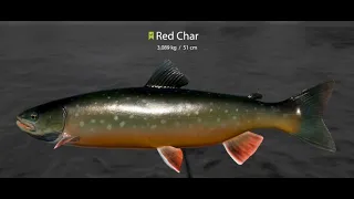 Russian Fishing 4 - Ladoga Archipelago Char/Gray/Red Char spot