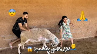 وأخيرا مشينا نشريو🔥خروف العيد🐏😱