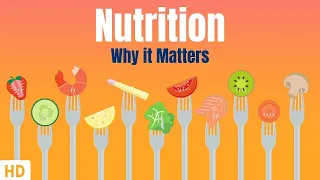 Nutrition And Why It Matters