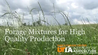 Forage Mixtures for High Quality Production