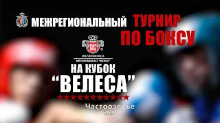 Межрегиональный турнир по боксу на кубок "Велес" 2019