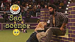 Charlie 777 most scene (Rakshit Shetty emotional scene)#dog#doglover#labrador#charlie 777