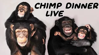 The one and ONLY Chimp Dinner Live | August 15th