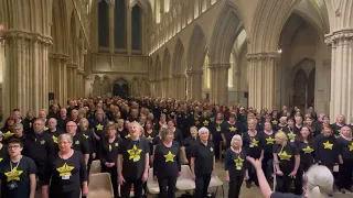 Dreams by Rock Choir Wiltshire & Somerset