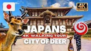 [4K HDR] Magical Deer Encounter in Nara, Japan | Serene Walk Through Ancient Park