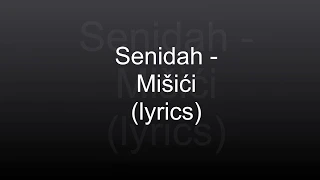 SENIDAH - MIŠIĆI (lyrics)