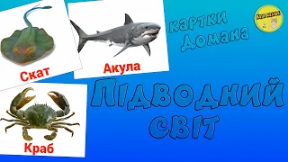 Підводний світ | Розвиваючі відео | Картки Домана онлайн