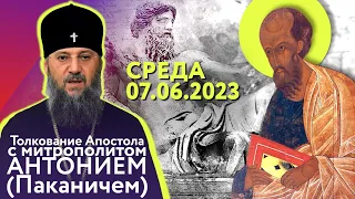 Среда, 7 июня 2023 года. Толкование Апостола с митр. Антонием (Паканичем).