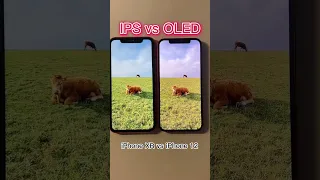 iPhone IPS LCD vs OLED