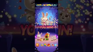 Bunny pop level 241 & 242