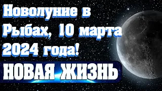 Новолуние в Рыбах, 10 марта 2024 года! | Абсолютный Ченнелинг