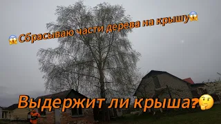 Арбористика‼️Спиливаем раскидистую березу🌳по частям. Сбрасываем части дерева на крышу хозпостройки😱