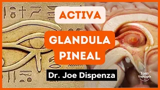 🧠 Meditación para ACTIVAR la GLÁNDULA PINEAL  O TERCER OJO de las enseñanzas del Dr Joe Dispenza