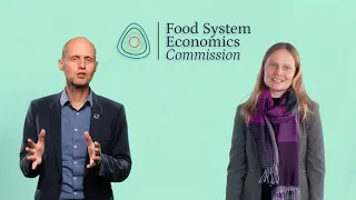 What is the Food System Economics Commission?