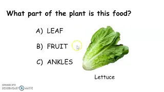 Plants We Eat Practice