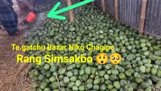 Te gatchu Bazar Niko Chagipa Rang Simsakbo 😲🥺