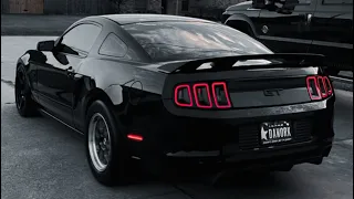 2014 Mustang GT/CS Build! Walk around, future plans and more.