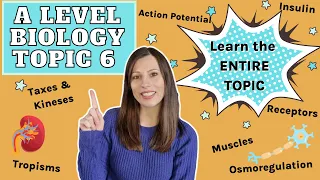 A level Biology ENTIRE topic 6: Learn the whole topic - response, muscles, synapses & homeostasis
