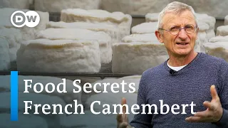 Camembert: How France's Most Famous Cheese Is Made | Food Secrets Ep. 11