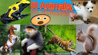 Animals Story 2M | Cute dog story Videos Cutest moment of the story | Cute story | 50 animals | #7