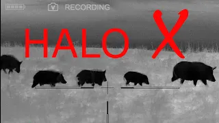 HALO X FIRST HUNT FOOTAGE