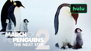 March of the Penguins 2: Trailer (Official) • A Hulu Original Documentary