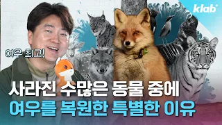 앞으로 우리가 길에서 마주칠 수도 있는 뜻밖의 동물🦊｜크랩