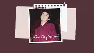 Vietsub | when the flies fell - Sub Urban | Lyrics Video