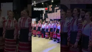 Щедрик | Щедрик  щедрівочка | Carol The Bells  | Ukrainian song #колядки  #щедрівки #carol #folk