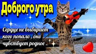 🌷🌞Доброго утра благословенного дня!💓Красивое музыкальное пожелание мира, любви, счастья,