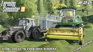 Silage harvest with a Deer | Animals on The Old Stream Farm | Farming Simulator 19 | Episode 22