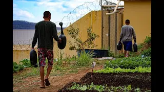 Vídeos de atividades dentro de Unidade Socioeducativa. #5 CONCURSO AGENTE SOCIOEDUCATIVO MG