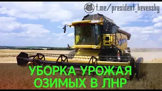 Уборка урожая озимых в ЛНР