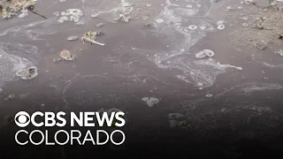 Neighborhood in eastern Colorado becomes hazmat scene due to toxic sludge in drinking water