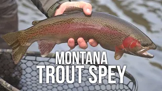 Big Trout in Montana! | What The Heck is Trout Spey?