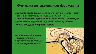 тренируем ретикулярную формацию через сенсорные каналы