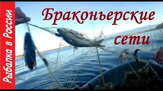 Браконьерские сети в нерест.  Брошенные сети . Антибрак 2019