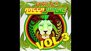 RAGGA JUNGLE IS MASSIVE VOL 3 MIXED BY DJ STP