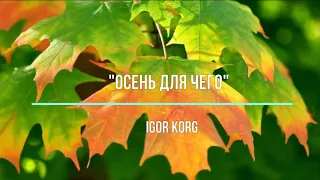 "Осень для чего"_ Igor Korg _ (Korg PA900)