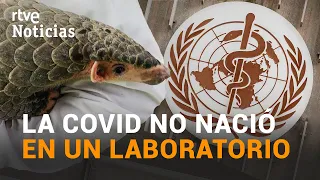 La OMS concluye que el ORIGEN del coronavirus es un ANIMAL no un LABORATORIO | RTVE Noticias