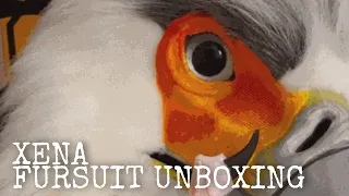 Xena Realistic Fursuit Unboxing and Review! (MelissaMendelsonArt/ZulayaWolf)