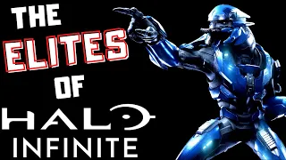 Halo Infinite Elite Breakdown