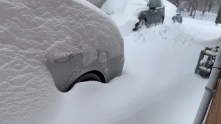 Toronto Ontario Snowfall - January 17, 2022 [ HD ]