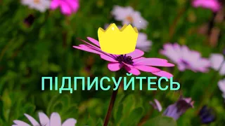 В СВІТІ ПРЕКРАСНОГО  ТА МУЗИКА  ДЛЯ ДУШІ СЕРГІЯ ГРИЩУКА.  ,, ОСІННІЙ СУМ "АВТОР НАТАЛІЯ КОБЗЕВА