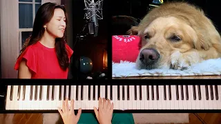 Can't Take My Eyes Off You - Cover by Sangah Noona - Vocal & Piano - Featuring Her Golden Retriever