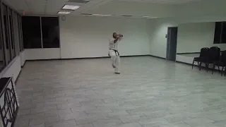 T.N.T. Ryu no Tate jutsu O-Heian Kata